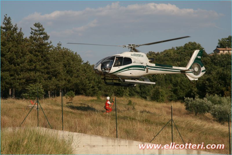 elifoto (150)
